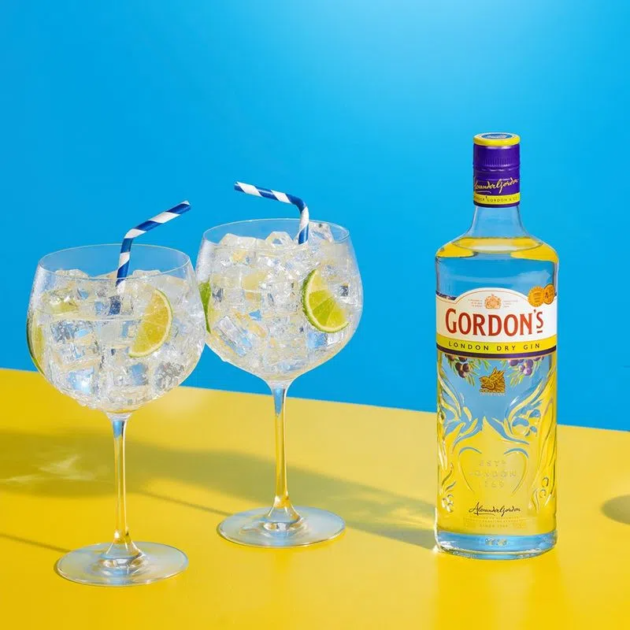Gin Gordon's London Dry 750ml - Imagem 3