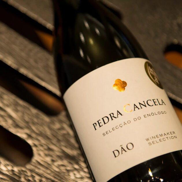 Vinho Pedra Cancela Seleção do Enólogo Dão Tinto 2019 - Image 3
